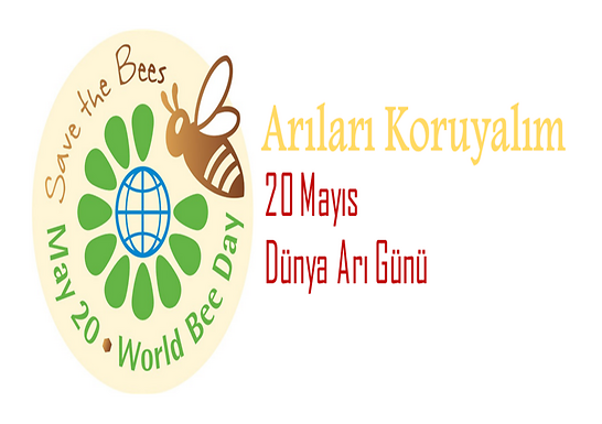 Dünya Arı Günü: Doğanın Sessiz Kahramanlarını Kutluyoruz