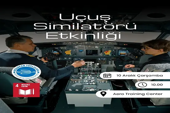 Flight Simulator